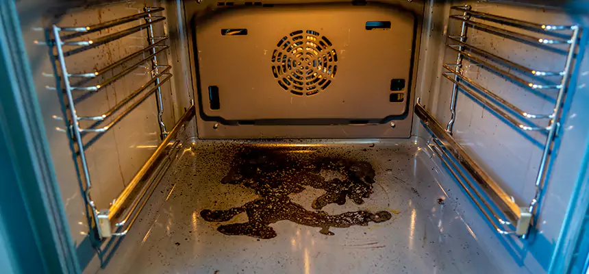 Our Dryer Vent Mold Cleaning Services in DeSoto, TX