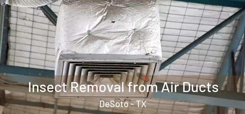  Insect Removal from Air Ducts DeSoto - TX