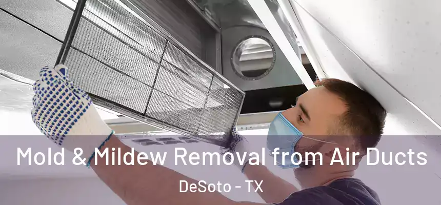  Mold & Mildew Removal from Air Ducts DeSoto - TX