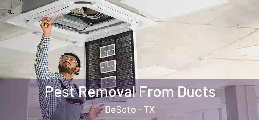  Pest Removal From Ducts DeSoto - TX