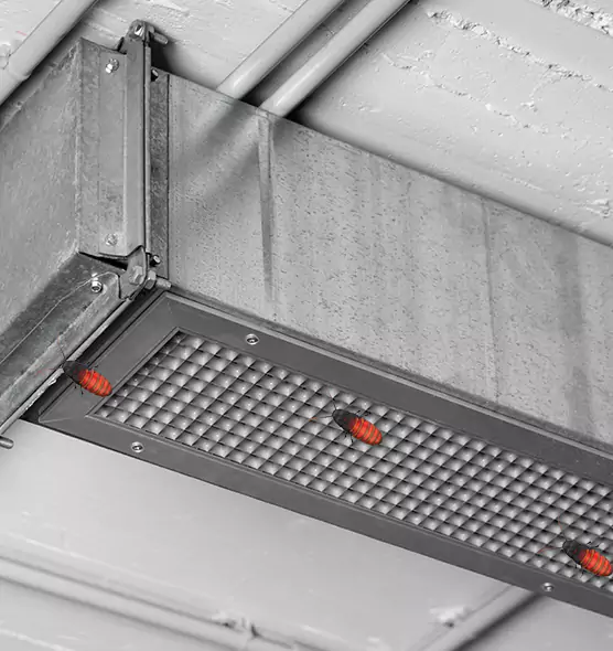 About Air Duct Cockroach Removal in DeSoto, TX